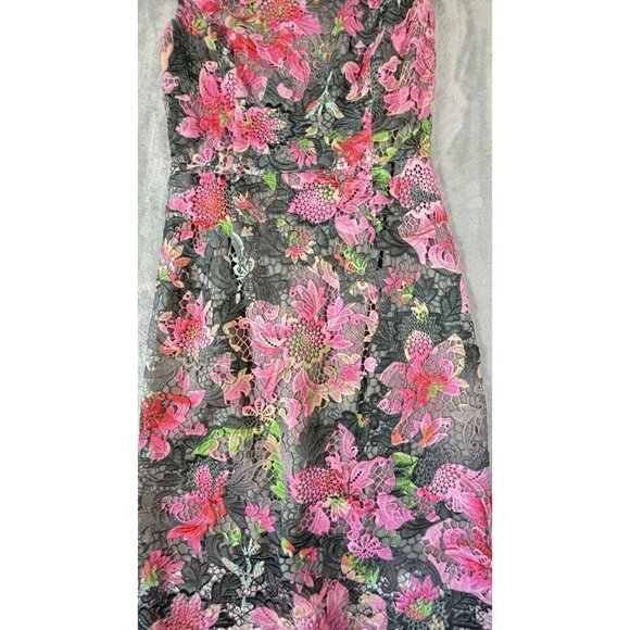 J. Peterman Pink Gray Lace Chromatic Dress Floral Medi Zip UP  Women’s Size 4 - Picture 7 of 11
